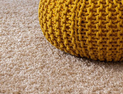 Step by step guide to clean your carpets.